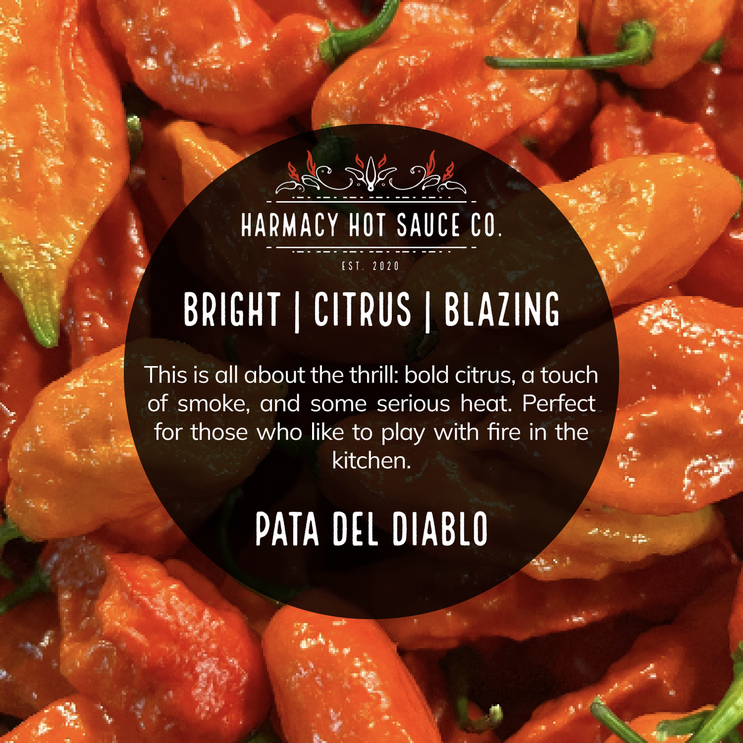 Pata del Diablo (9oz) - Extra Hot Triple Sauce Value Pack